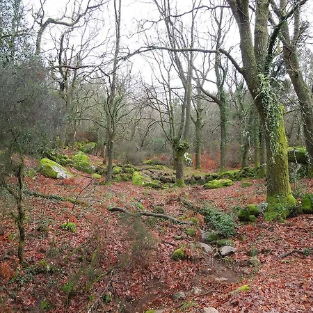 Сasa de vacaciones Casa Sulfato Campo do Geres