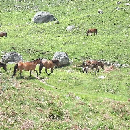 Сasa de vacaciones Casa Sulfato Campo do Geres