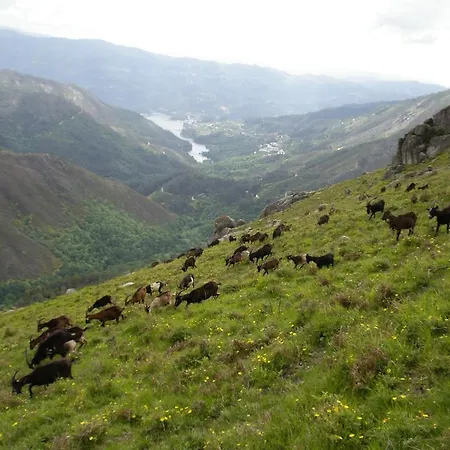 Casa Sulfato Сasa de vacaciones Campo do Geres
